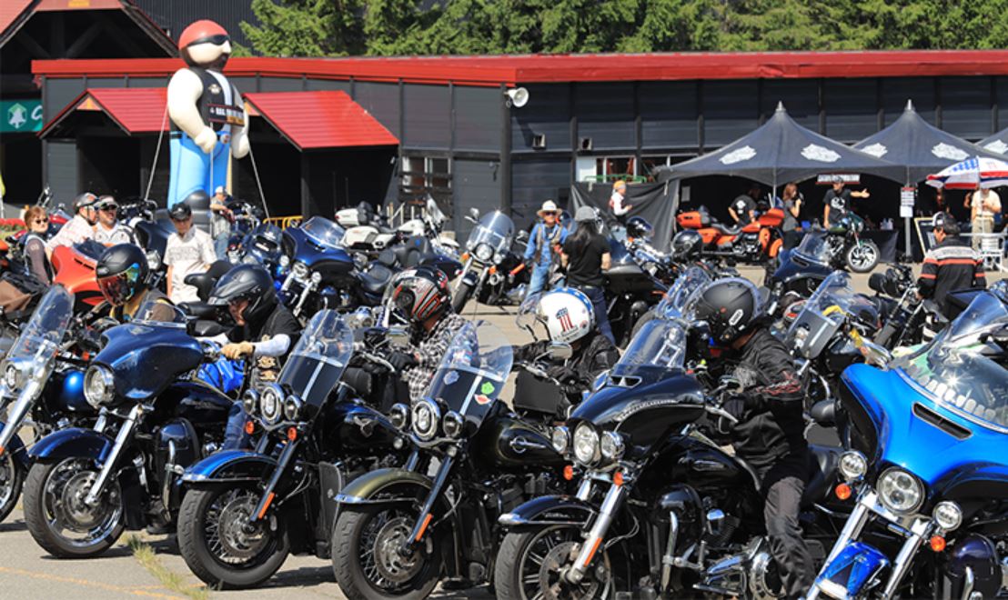Harley Month×BikeJIN
