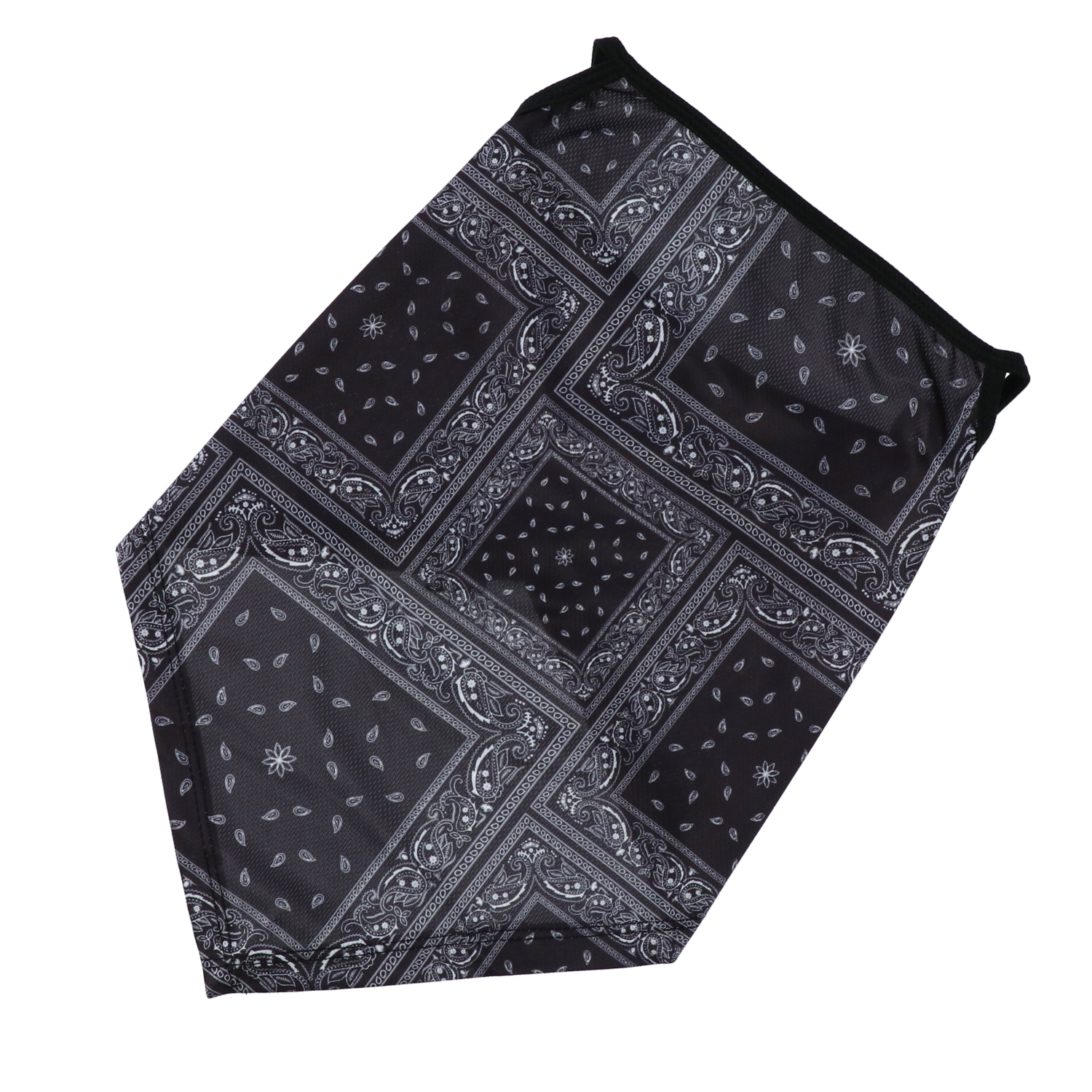 RIDEZ Bandana EarsLoops TBE1078 PAISELY2