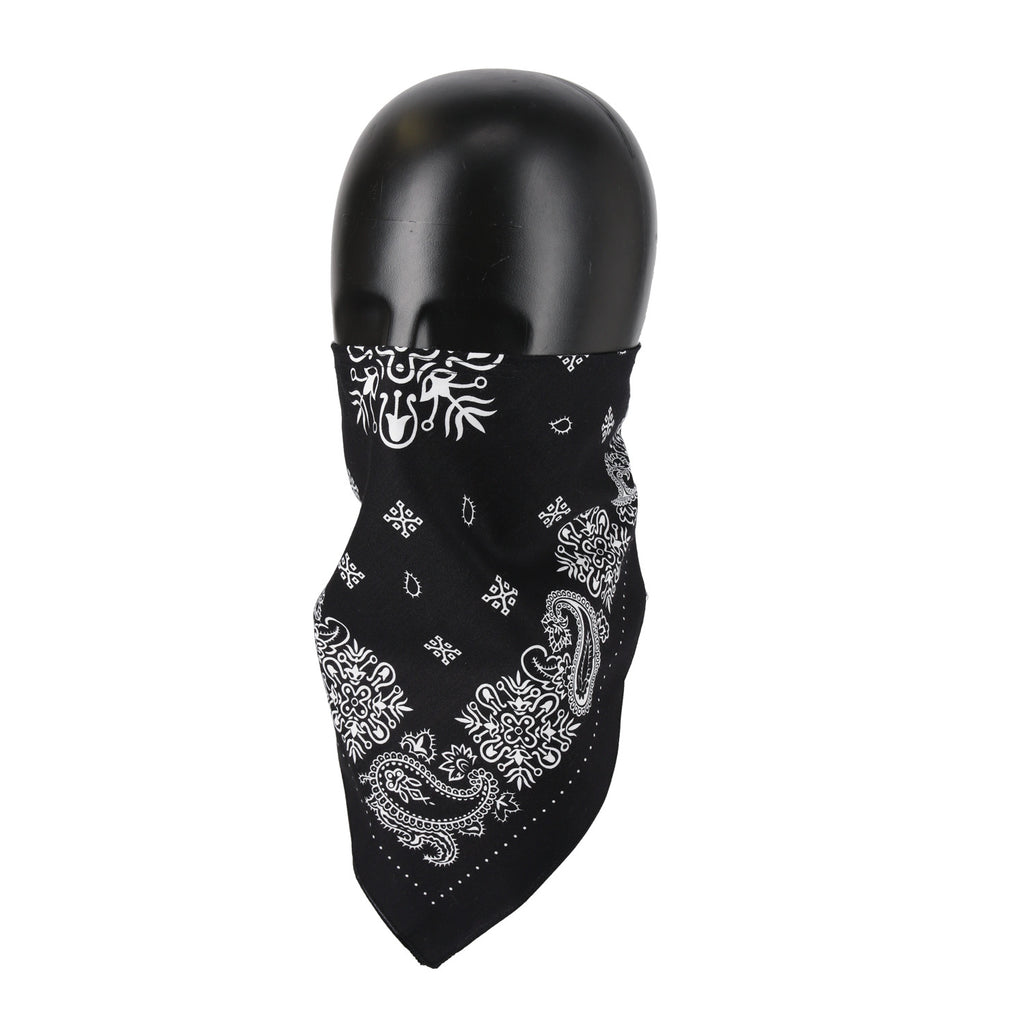 RIDEZ NEO BANDANA MASK PAISELY6 RNB10 フェイスカバー
